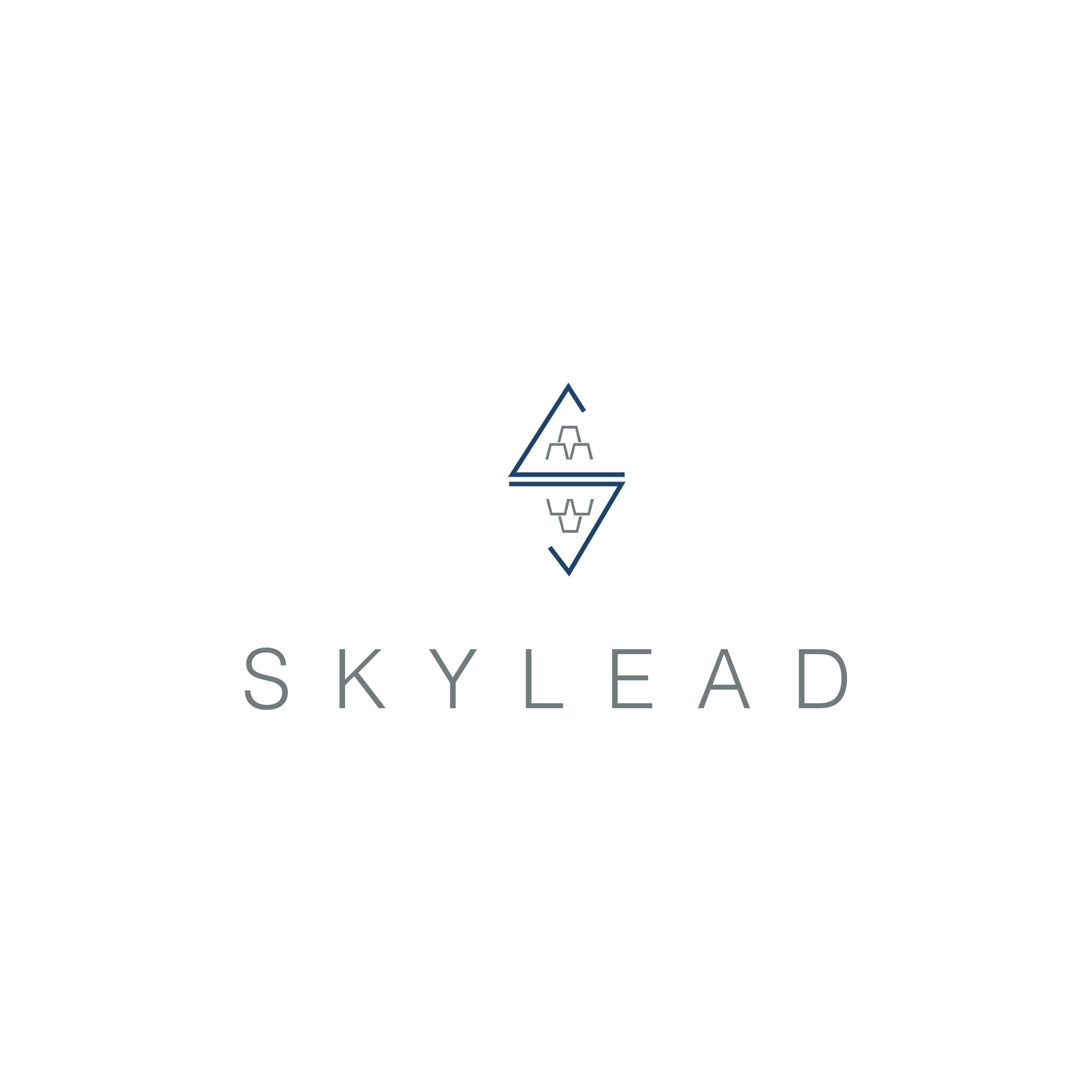 Skylead